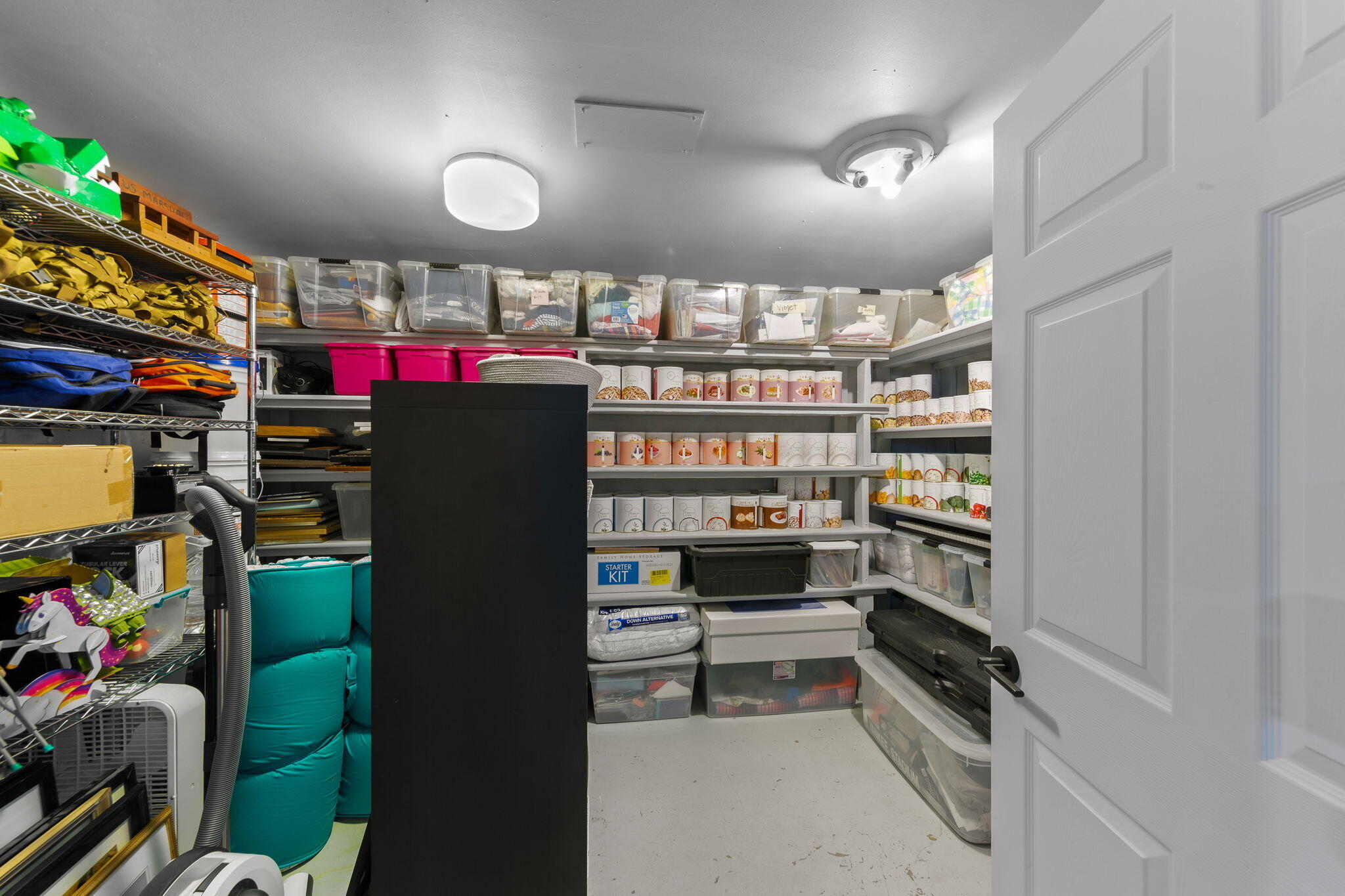 558 Del Mar Drive St. George, UT 84790 - Photo 41 of 74 large storage room in basement