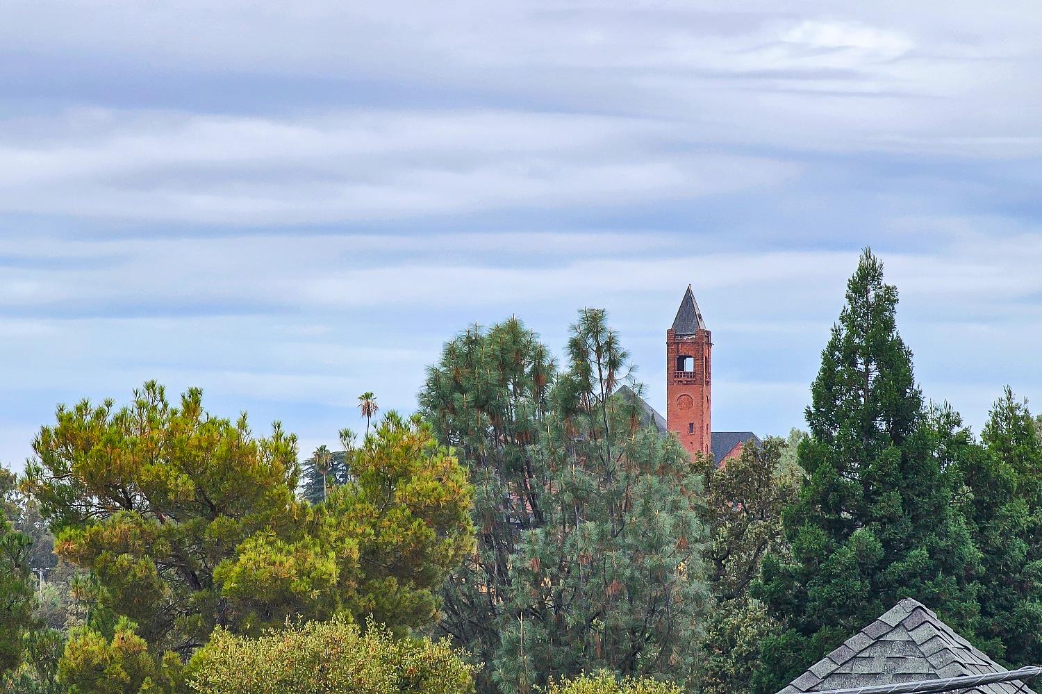 314 East Main Street Ione, CA 95640 - Photo 39 of 43 a building view with large trees and sky view
