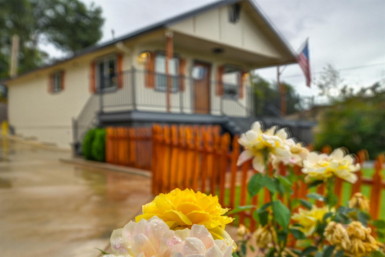 314 East Main Street Ione, CA 95640 - Photo 6 of 43 a view of a small yard
