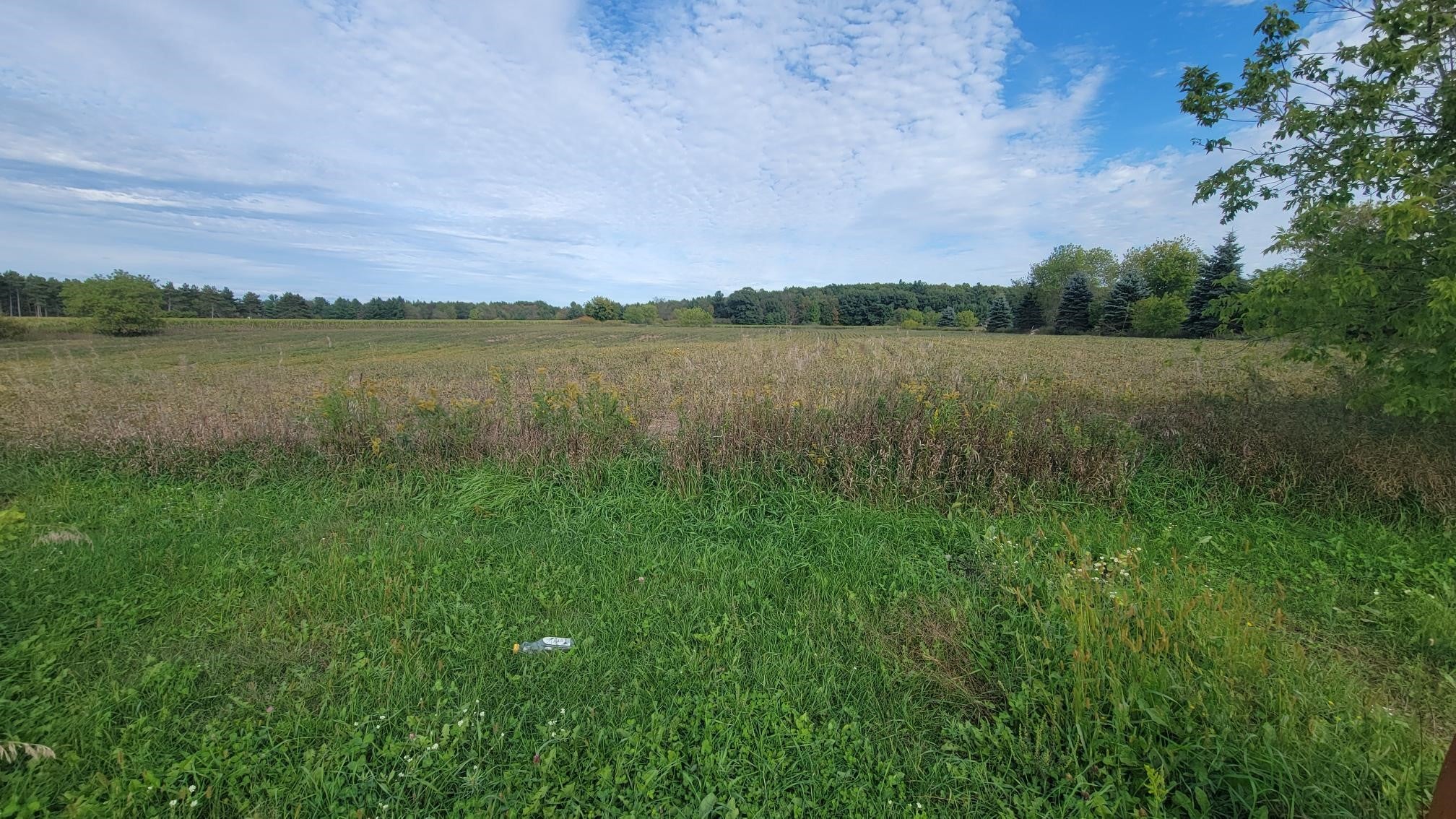 3585 Highway 49 Rosholt, WI 54473 - Photo 20 of 33 Gallery Image 20