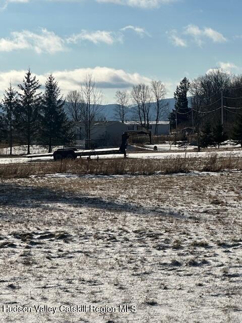 552 Travis Hill Road Rensselaerville, NY 12469 - Photo 4 of 11 a view of a dry yard with trees