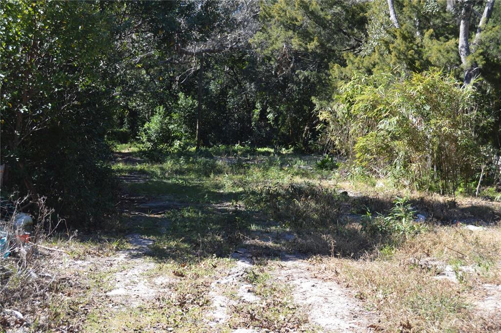 18117 Branch Road Hudson, FL 34667 - Photo 20 of 22