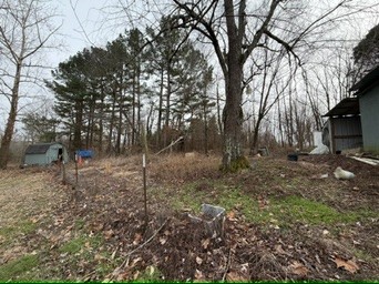 9830 Caneyville Road Morgantown, KY 42261 - Photo 21 of 36