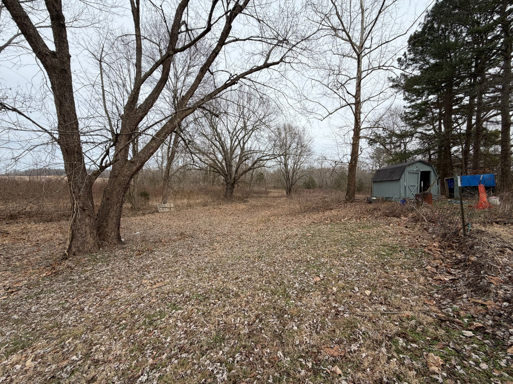 9830 Caneyville Road Morgantown, KY 42261 - Photo 25 of 36