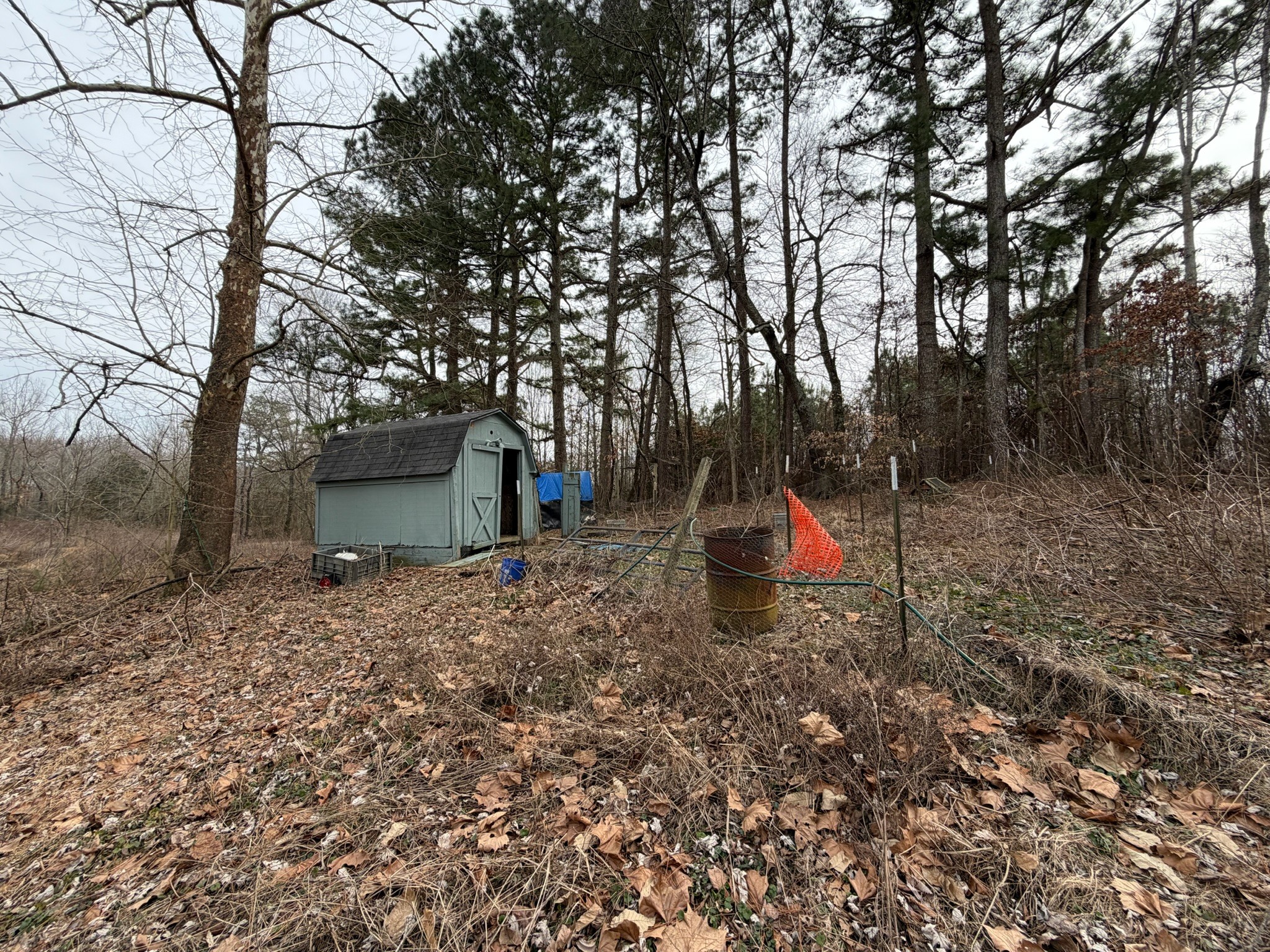 9830 Caneyville Road Morgantown, KY 42261 - Photo 26 of 36