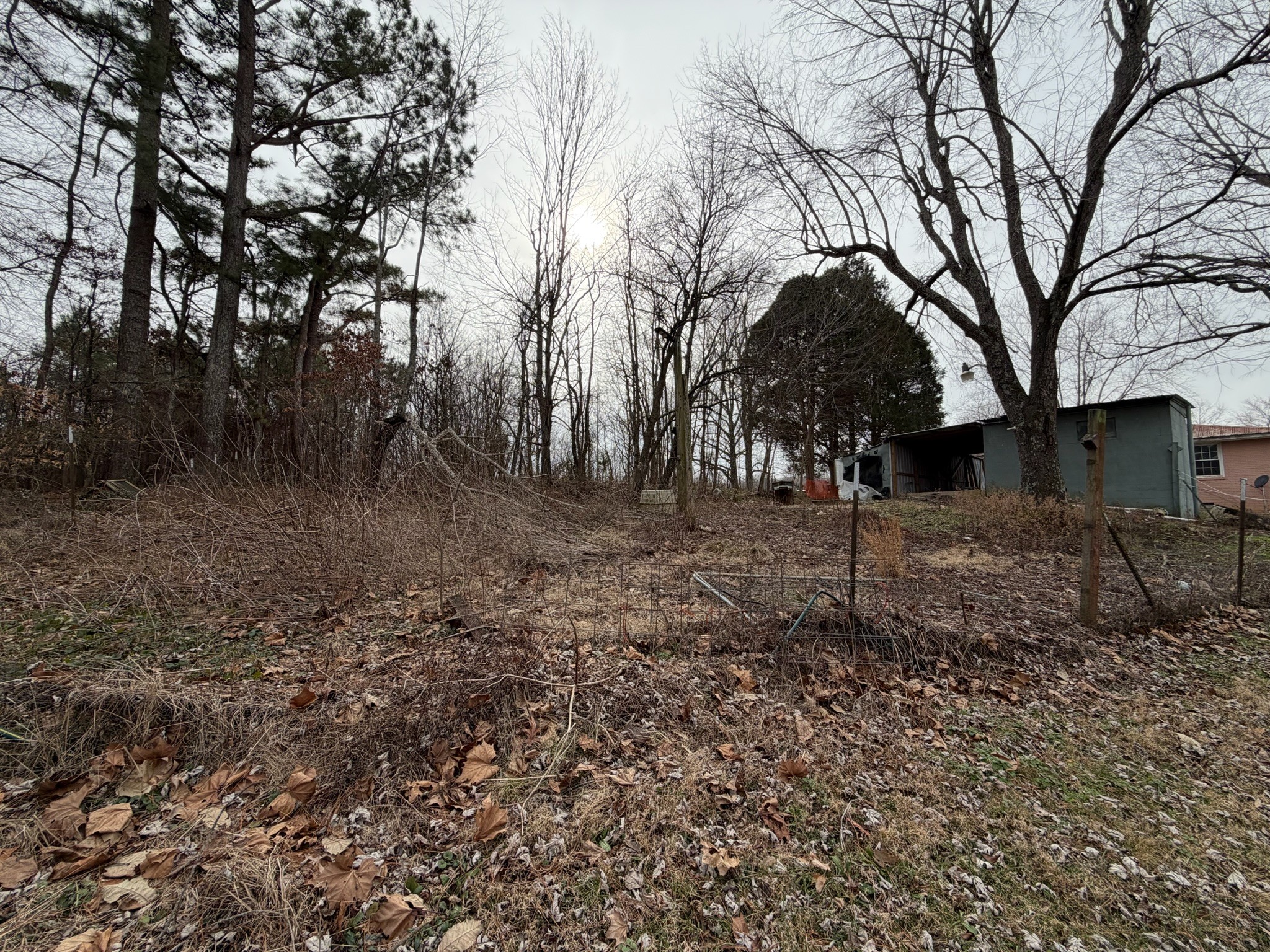 9830 Caneyville Road Morgantown, KY 42261 - Photo 27 of 36