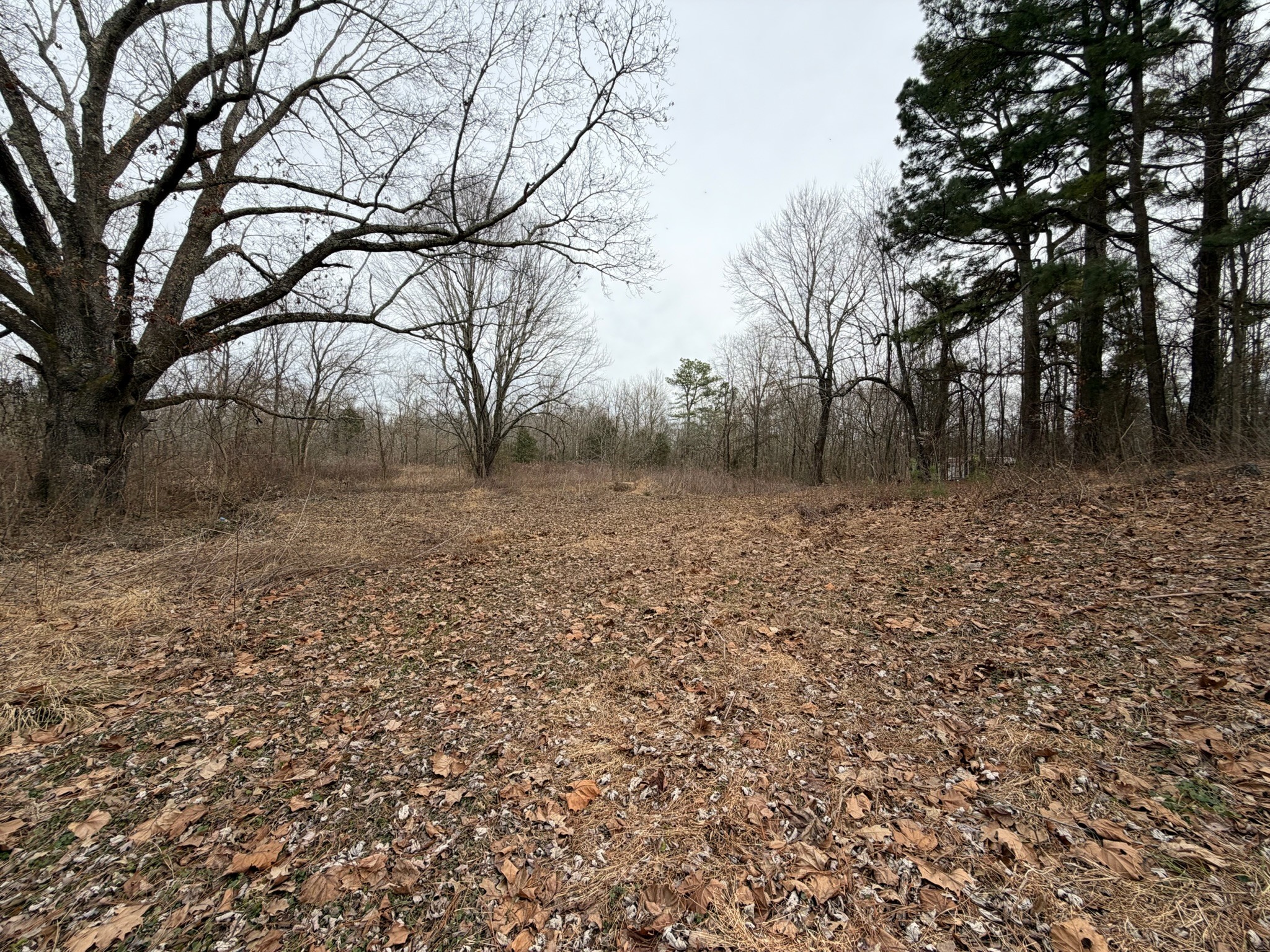 9830 Caneyville Road Morgantown, KY 42261 - Photo 28 of 36