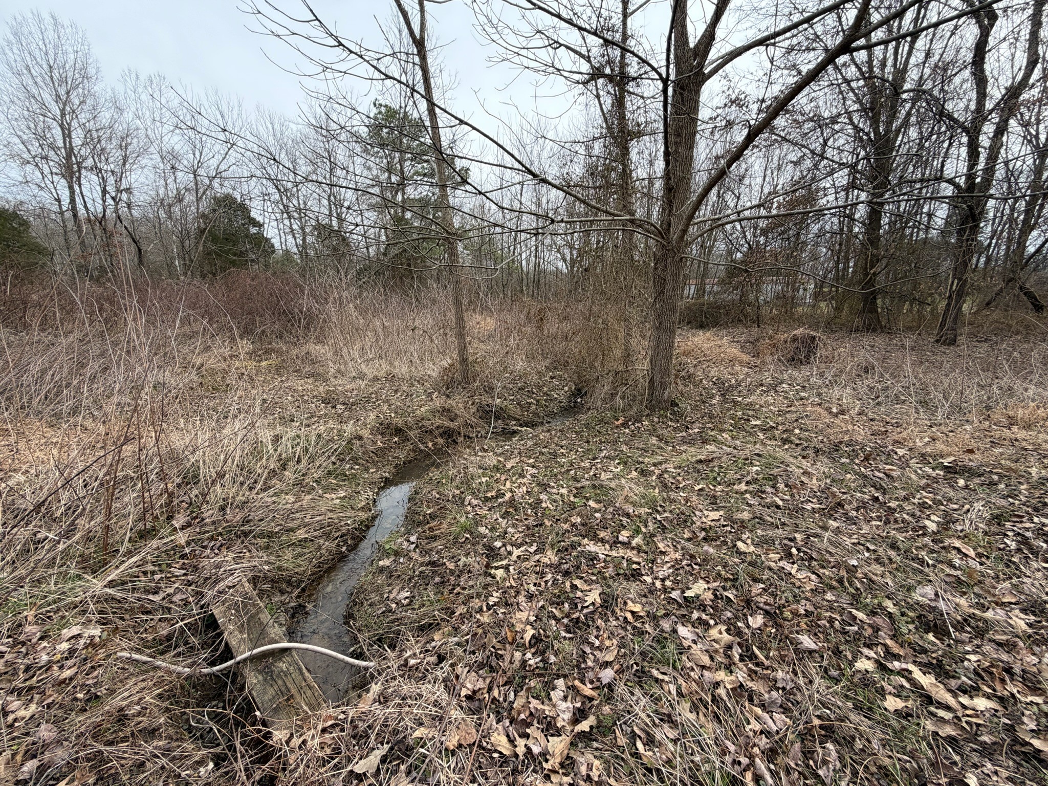 9830 Caneyville Road Morgantown, KY 42261 - Photo 30 of 36