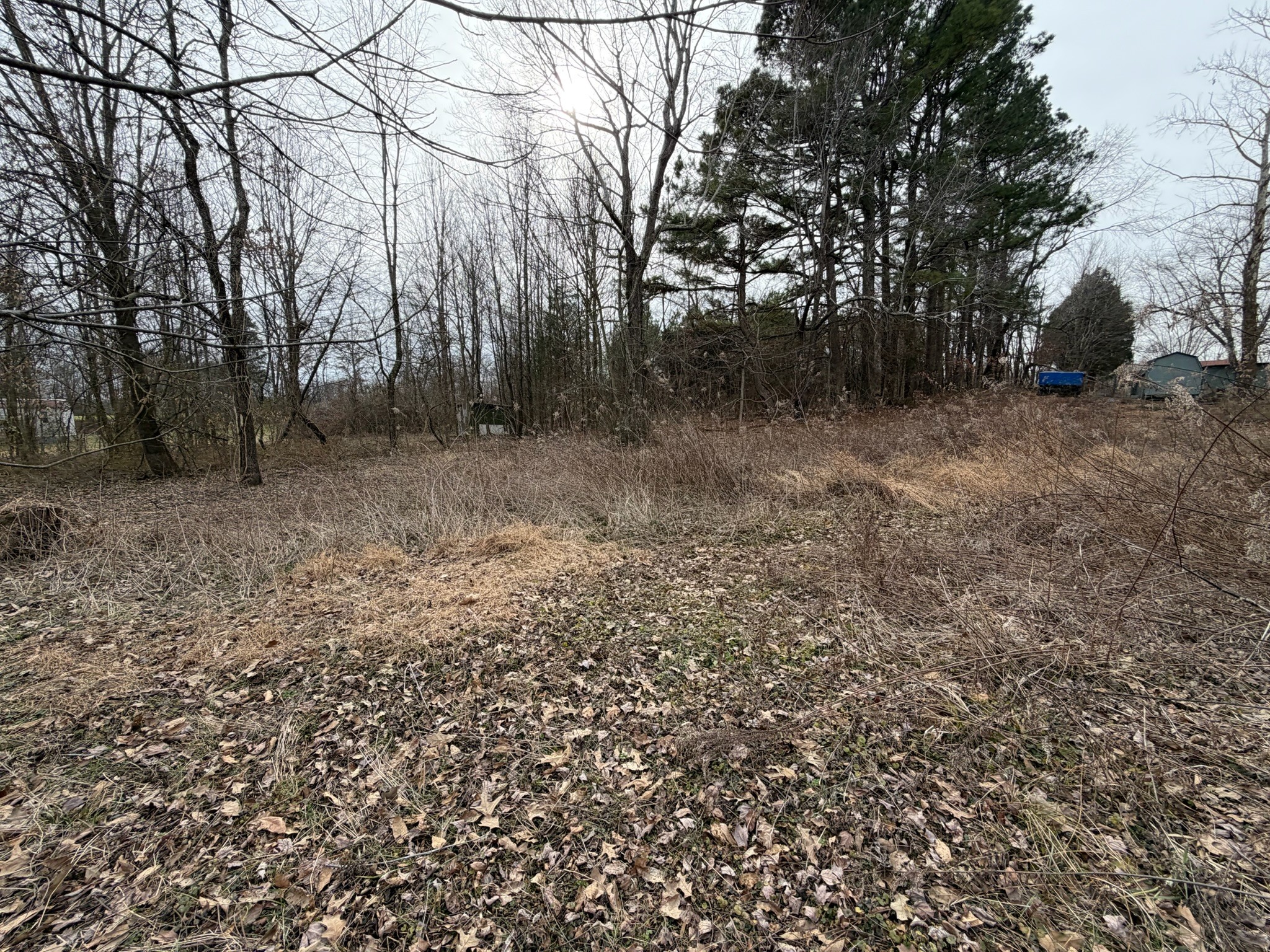 9830 Caneyville Road Morgantown, KY 42261 - Photo 31 of 36