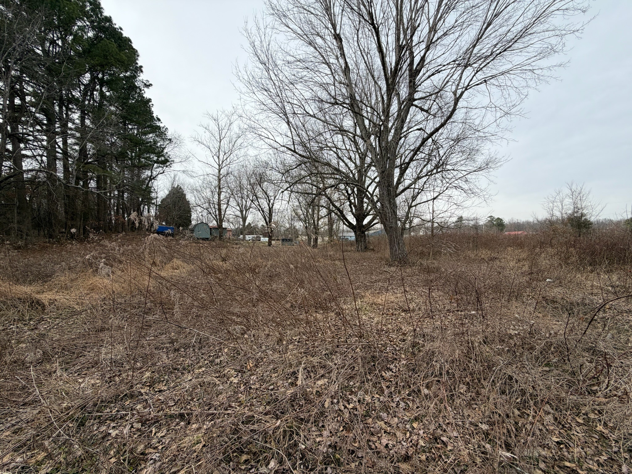 9830 Caneyville Road Morgantown, KY 42261 - Photo 32 of 36