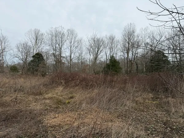 $89,000 | 9830 Caneyville Road, Morgantown, KY 42261