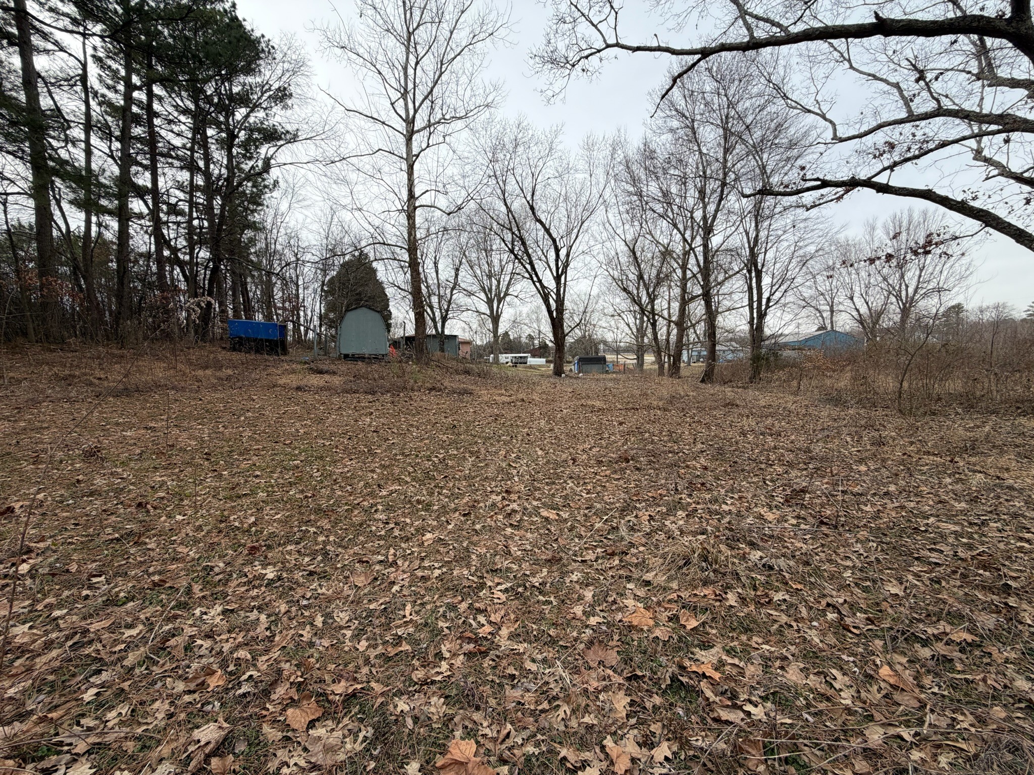 9830 Caneyville Road Morgantown, KY 42261 - Photo 35 of 36