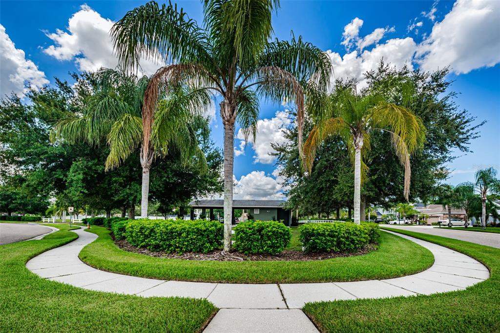 16207 Rambling Road Odessa, FL 33556 - Photo 64 of 76