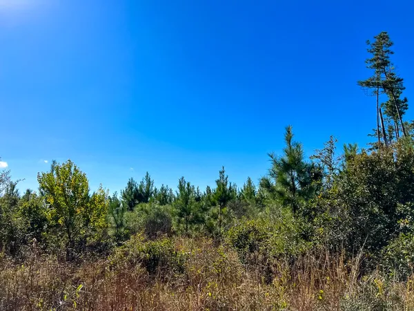a view of a city with lush green forest
