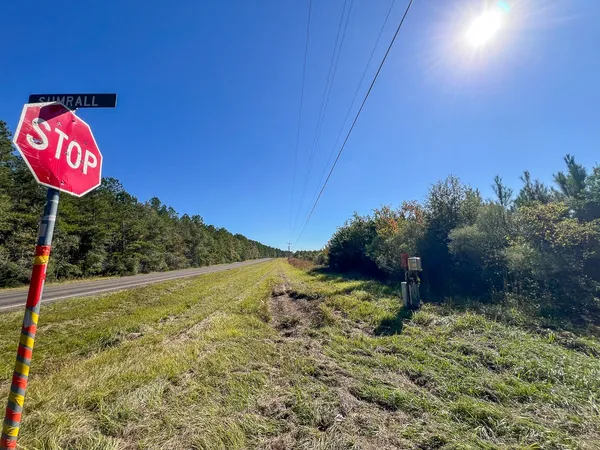 a view of a street with a building in the background