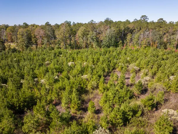 a view of a field with an ocean