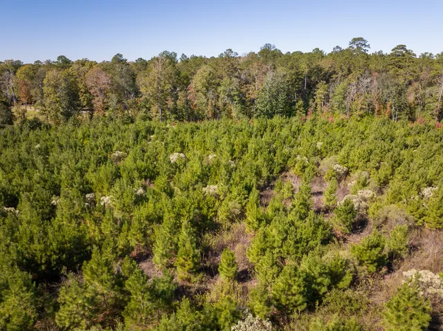 a view of a field with an ocean