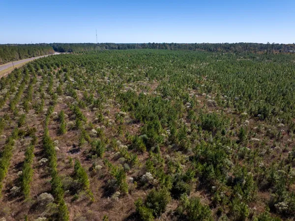 a view of a field with an ocean view