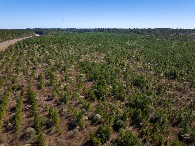 a view of a field with an ocean view