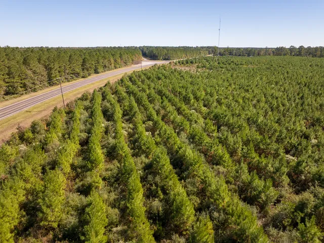 a view of a lush green field