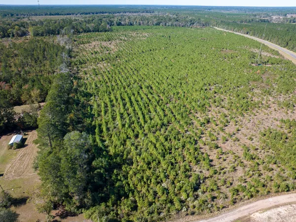 a view of a green field