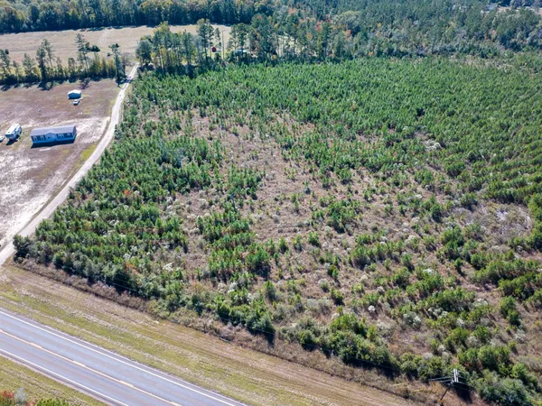 a view of a forest with a building