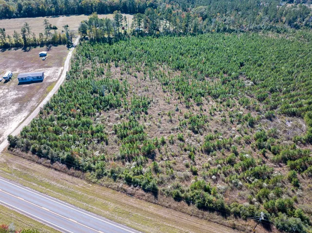 a view of a forest with a building