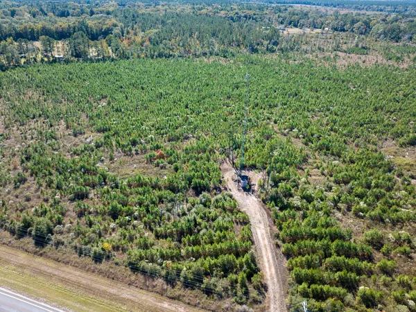 a view of a green field