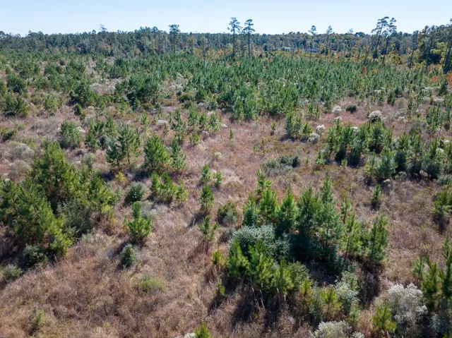a view of a yard with a tree in the background