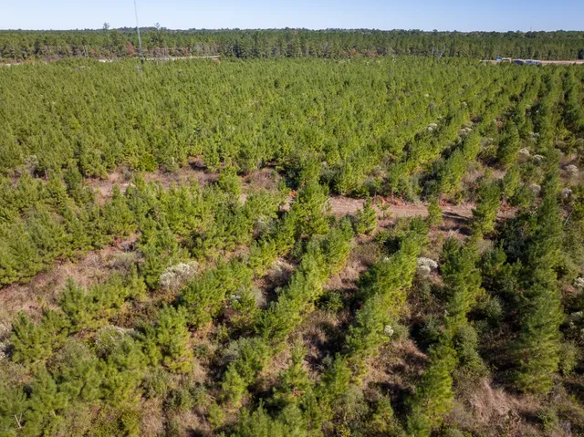 a view of a garden with a building