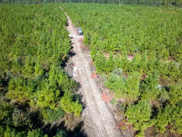 a view of a lush green forest with trees and some houses