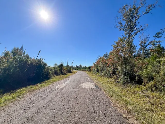 a view of a dirt road with trees in the background