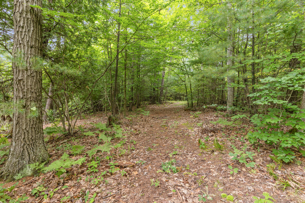 V/l East Stanton Road Stanton, MI 48888 - Photo 13 of 26 Vacant-land-just_015
