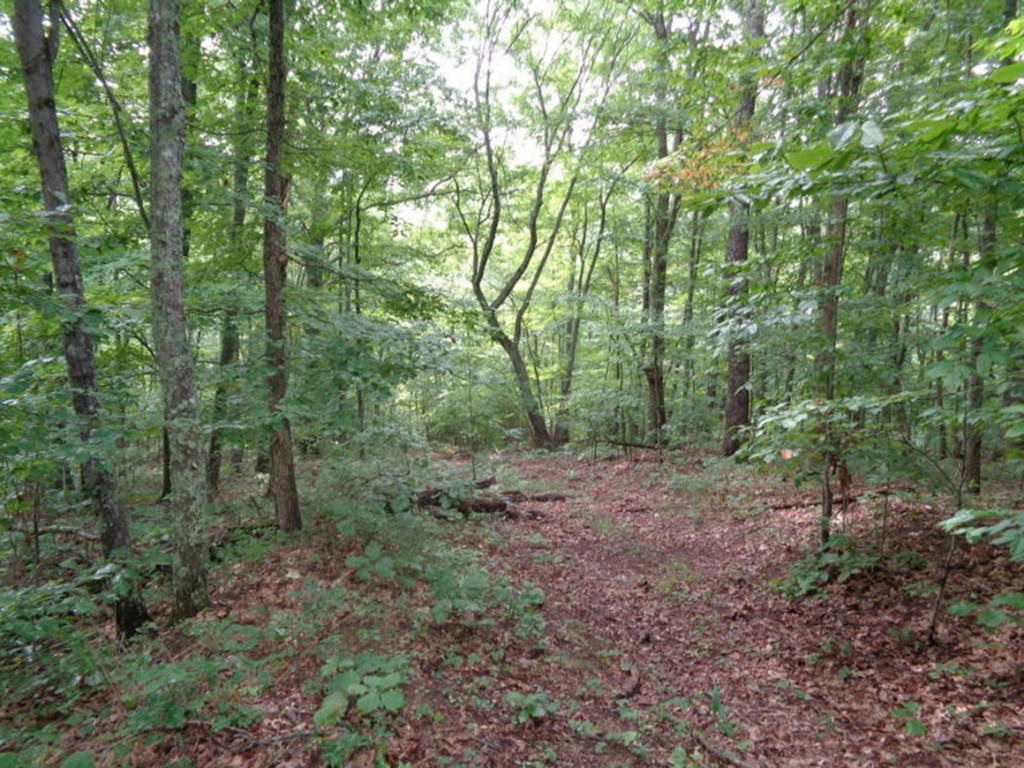 0 Short Mountain Road Sneedville, TN 37869 - Photo 1 of 36 Photo 1