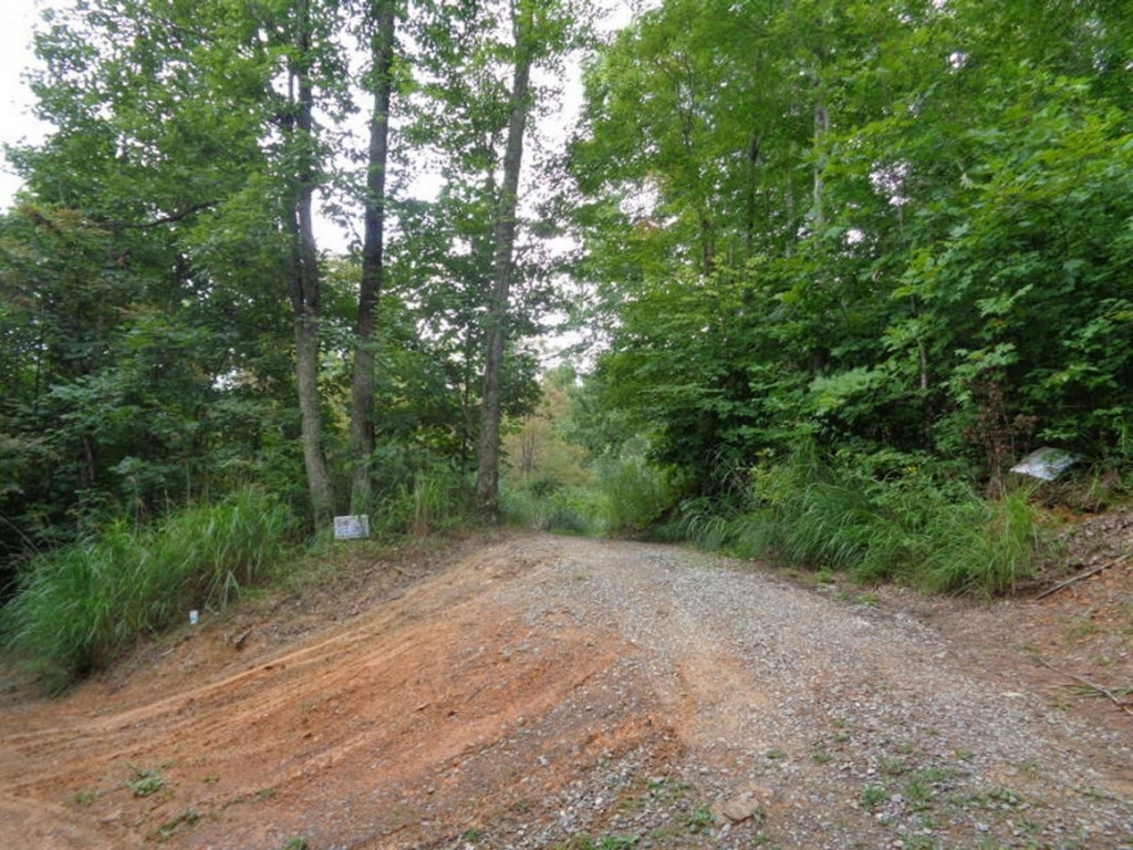 0 Short Mountain Road Sneedville, TN 37869 - Photo 13 of 36 Photo 13