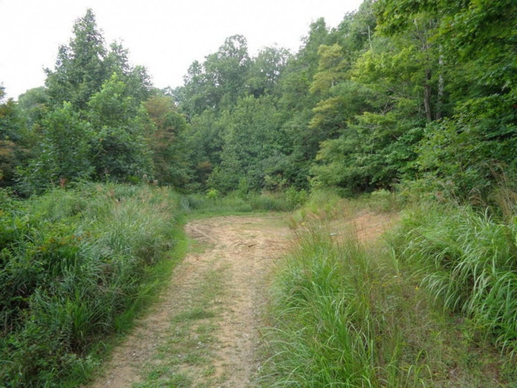 0 Short Mountain Road Sneedville, TN 37869 - Photo 14 of 36 Photo 14