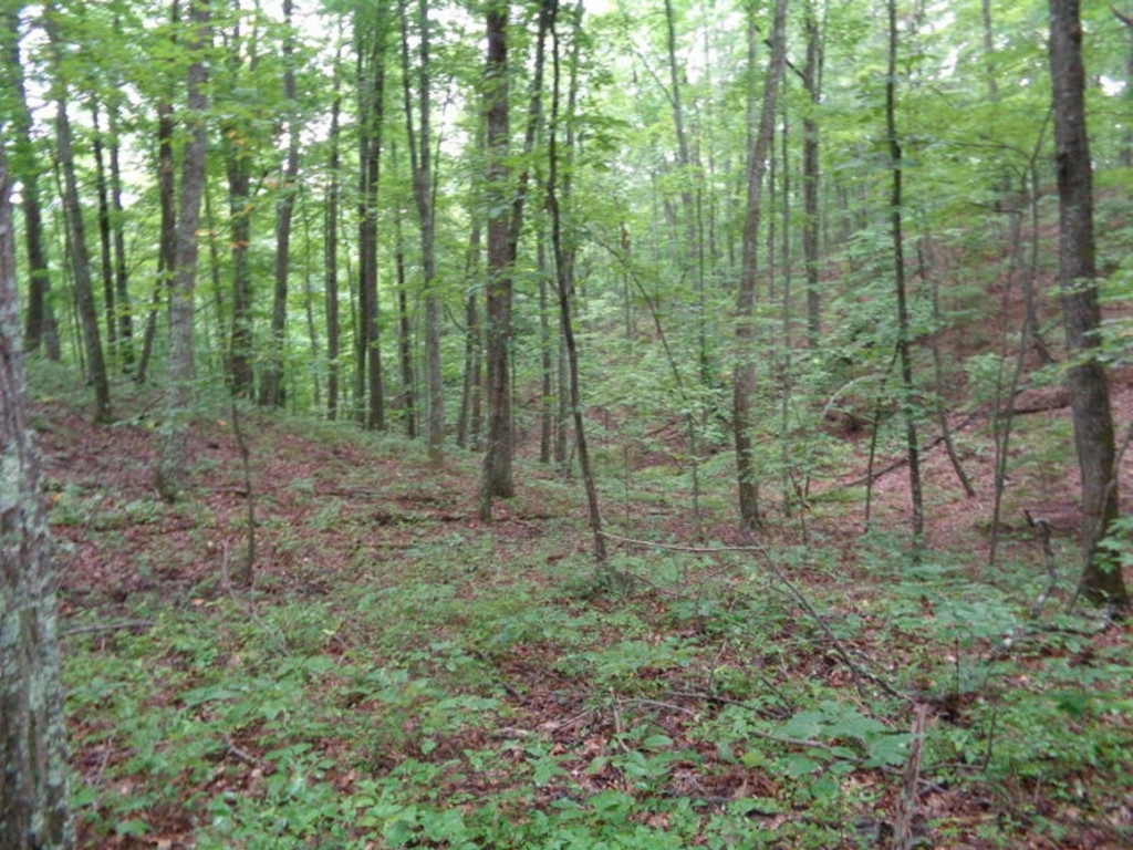 0 Short Mountain Road Sneedville, TN 37869 - Photo 15 of 36 Photo 15