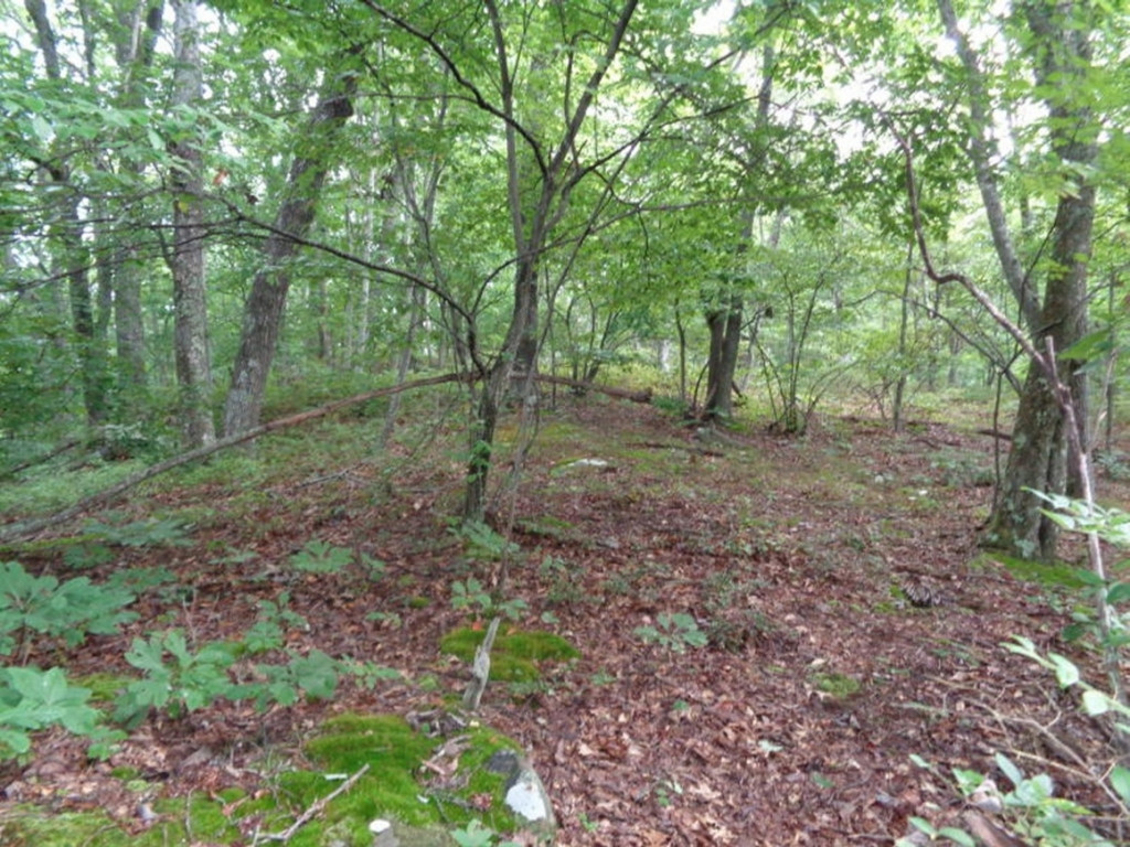0 Short Mountain Road Sneedville, TN 37869 - Photo 18 of 36 Photo 18