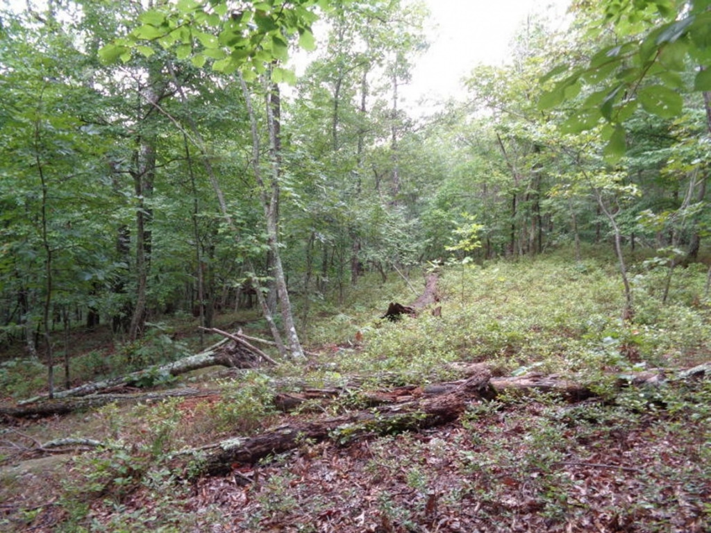 0 Short Mountain Road Sneedville, TN 37869 - Photo 19 of 36 Photo 19