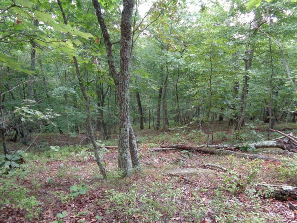 0 Short Mountain Road Sneedville, TN 37869 - Photo 20 of 36 Photo 20