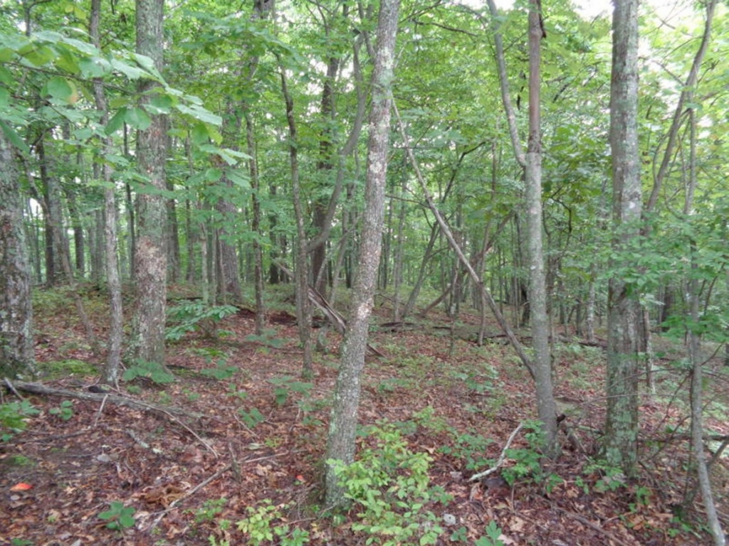 0 Short Mountain Road Sneedville, TN 37869 - Photo 21 of 36 Photo 21