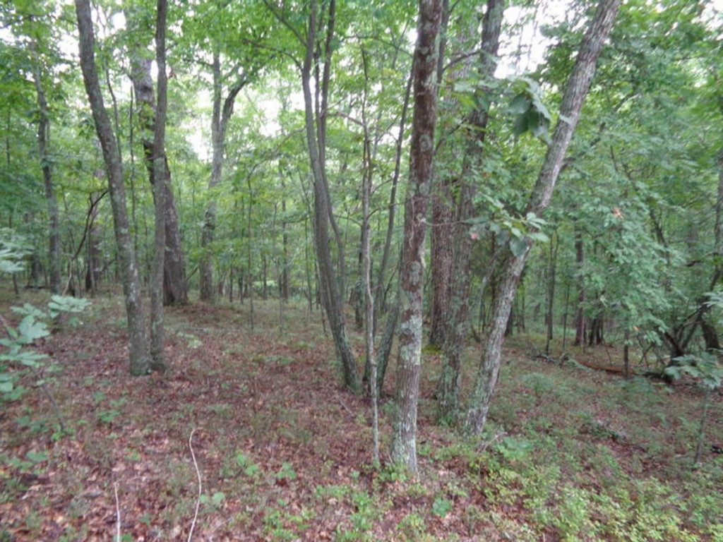 0 Short Mountain Road Sneedville, TN 37869 - Photo 22 of 36 Photo 22