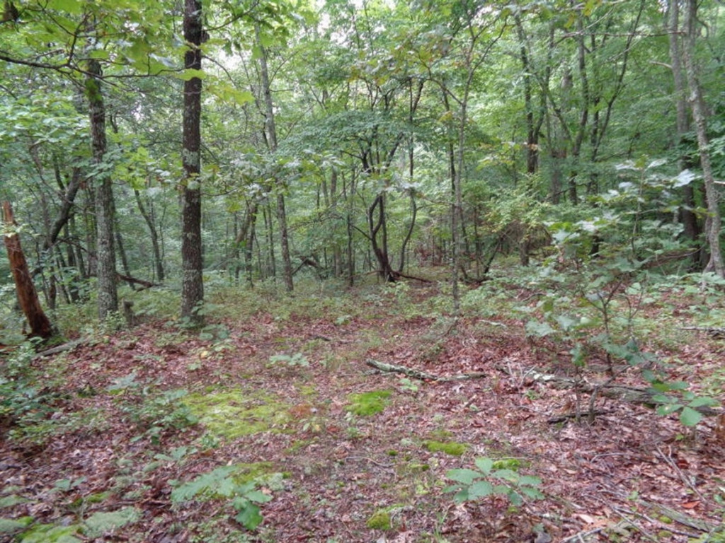 0 Short Mountain Road Sneedville, TN 37869 - Photo 23 of 36 Photo 23