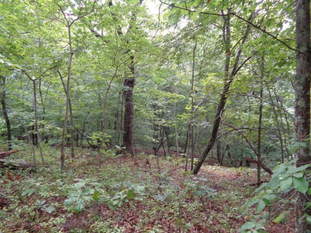0 Short Mountain Road Sneedville, TN 37869 - Photo 24 of 36 Photo 24