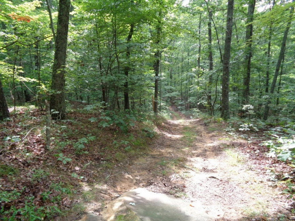 0 Short Mountain Road Sneedville, TN 37869 - Photo 26 of 36 Photo 26