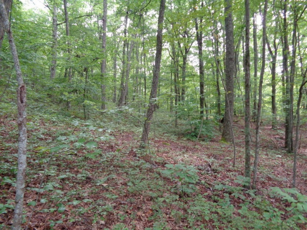 0 Short Mountain Road Sneedville, TN 37869 - Photo 28 of 36 Photo 28