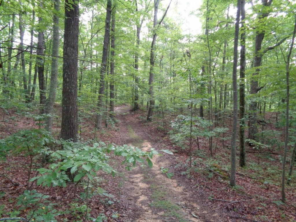 0 Short Mountain Road Sneedville, TN 37869 - Photo 30 of 36 Photo 30