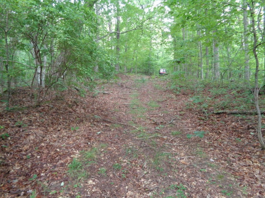 0 Short Mountain Road Sneedville, TN 37869 - Photo 4 of 36 Photo 4