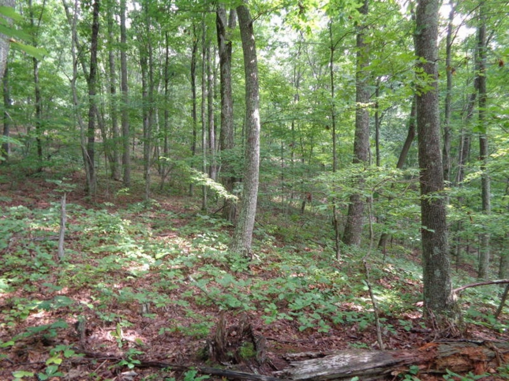 0 Short Mountain Road Sneedville, TN 37869 - Photo 33 of 36 Photo 33