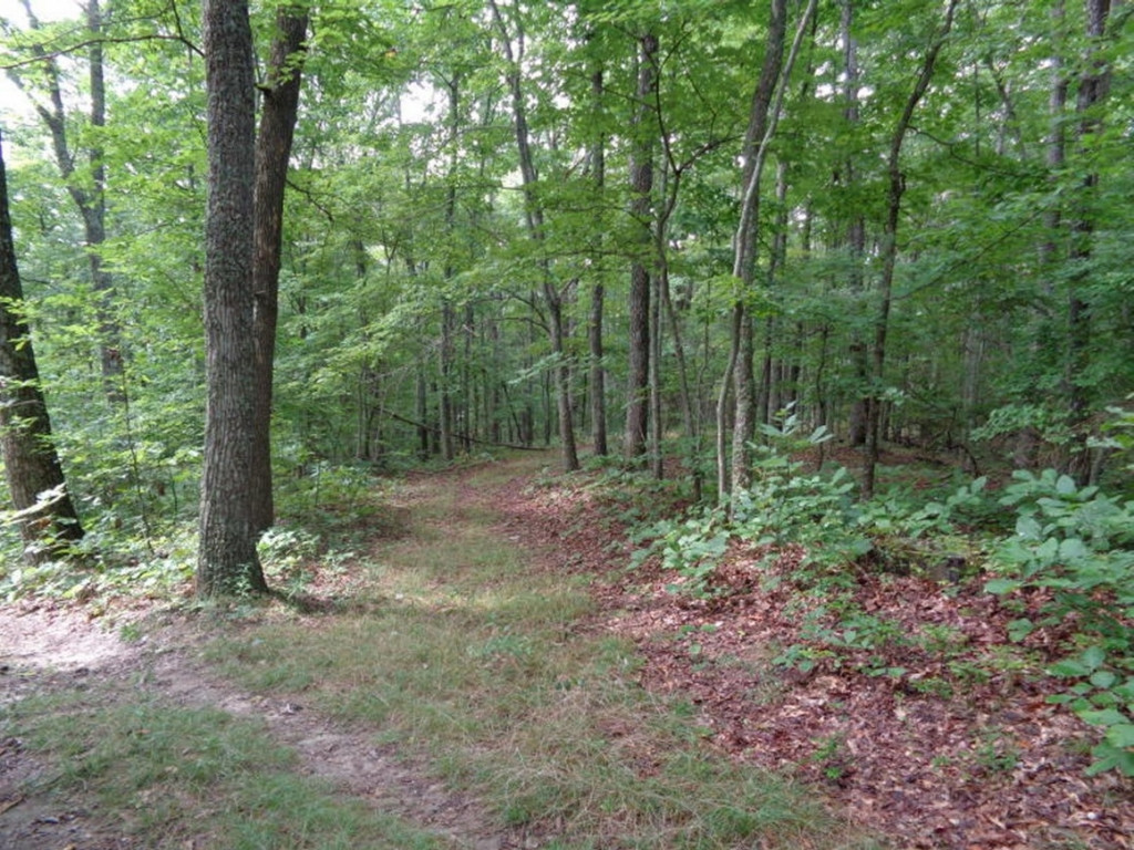 0 Short Mountain Road Sneedville, TN 37869 - Photo 34 of 36 Photo 34